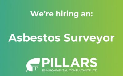 Job Opportunity – Asbestos Surveyor