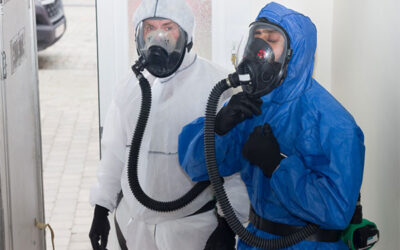 Which Type of Asbestos Survey Do I Need?