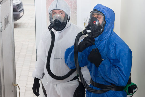 asbestos survey workers