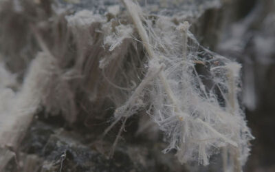 Does Vermiculite Contain Asbestos?