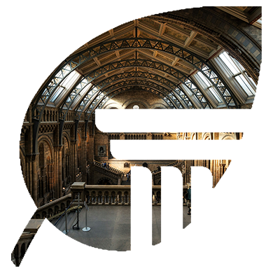 Asbestos Surveys for Museums